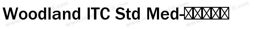 Woodland ITC Std Med字体转换